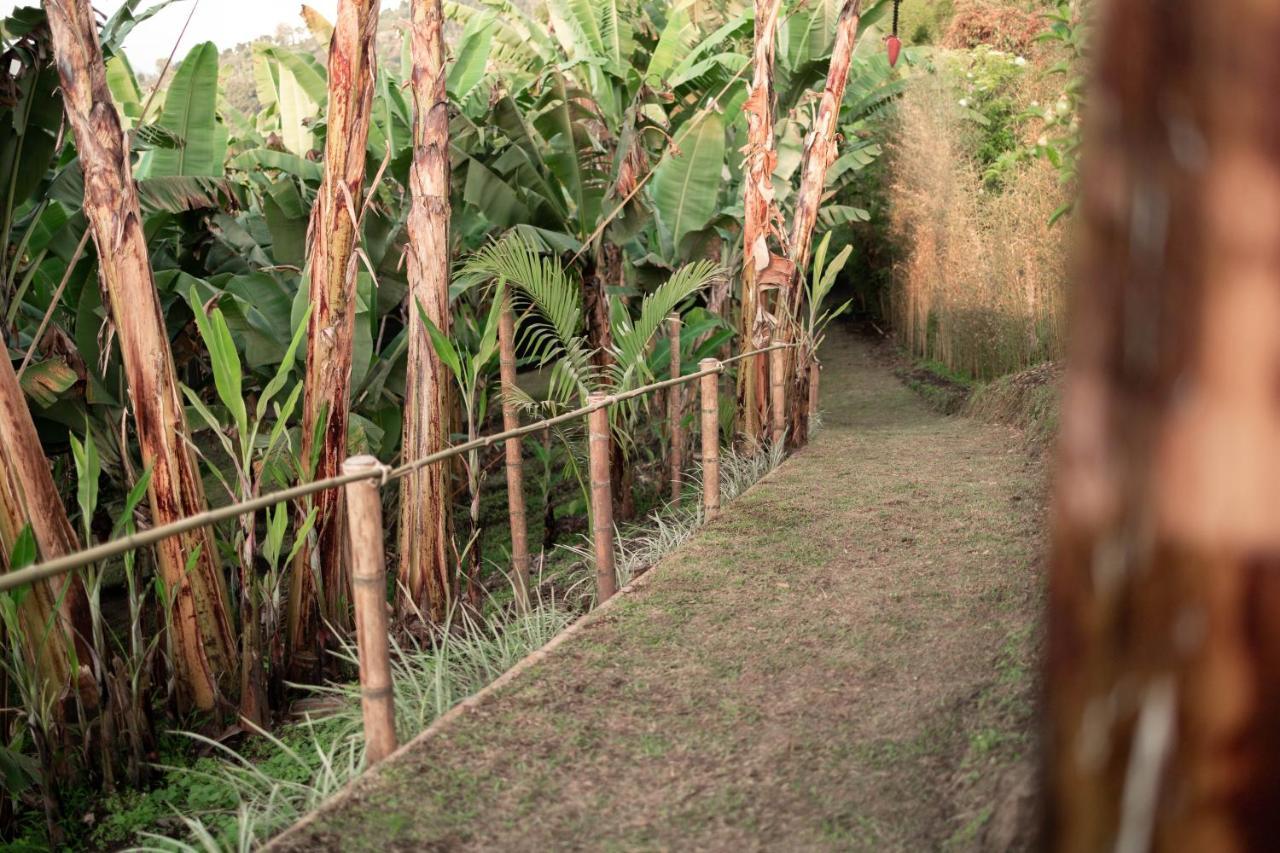 Chamí Glamping Vila Manizales Exterior foto