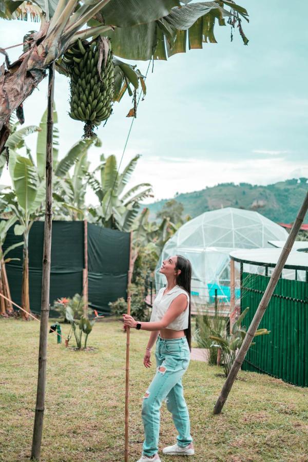 Chamí Glamping Vila Manizales Exterior foto