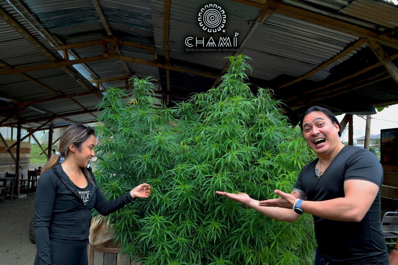 Chamí Glamping Vila Manizales Exterior foto