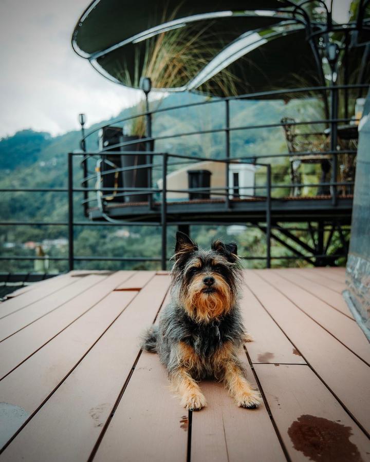 Chamí Glamping Vila Manizales Exterior foto